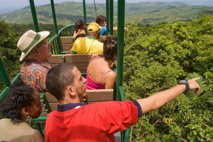Saint Lucia: Aerial Tram Tour at Rainforest Adventures - What to Expect During the Tour
