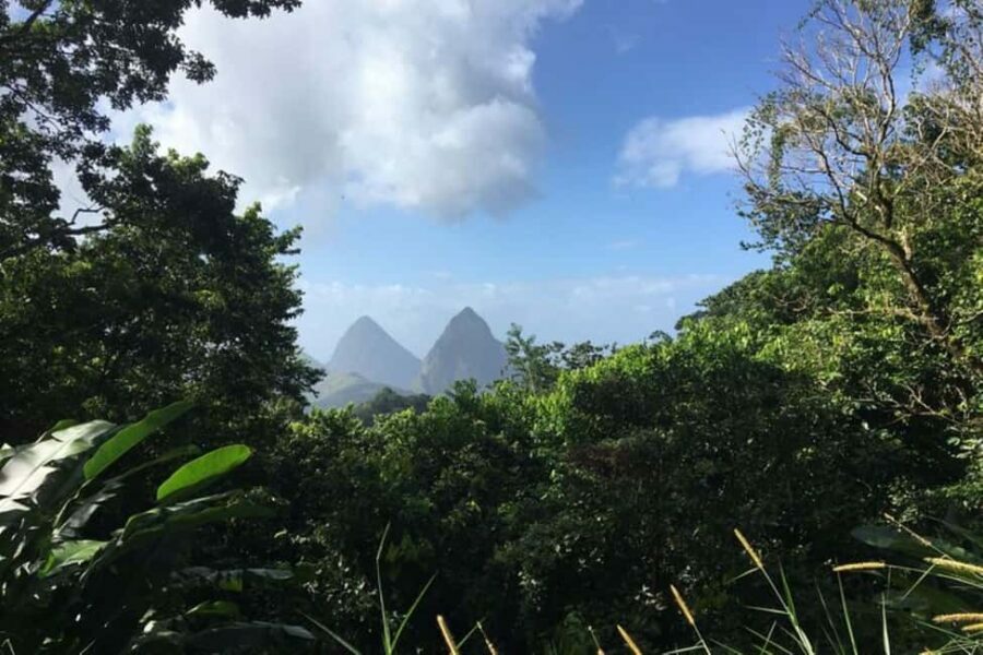 Saint Lucia: Tet Paul Nature Trail Hiking Tour & Beach - Authentic Reviews and Traveler Perspectives