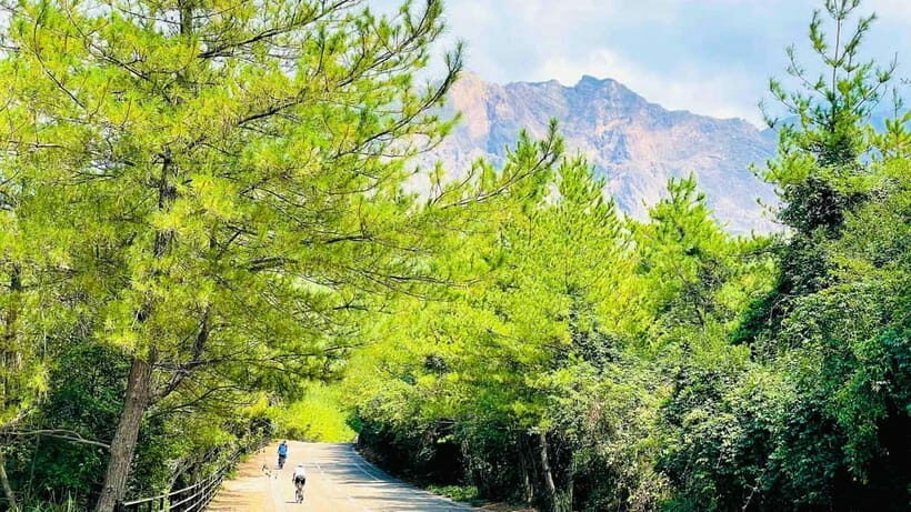 Sakurajima Century Lava Climb Journey with E-bike - Final Thoughts: Is It Worth It?