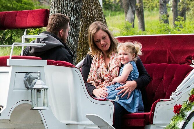 Salish Sea Horse-Drawn Carriage Tour of Victoria - Itinerary Breakdown: What to Expect