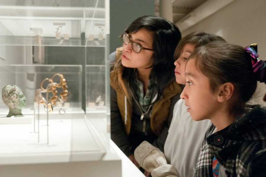 San Antonio: San Antonio Museum of Art Entry Ticket - What to Expect at the Museum