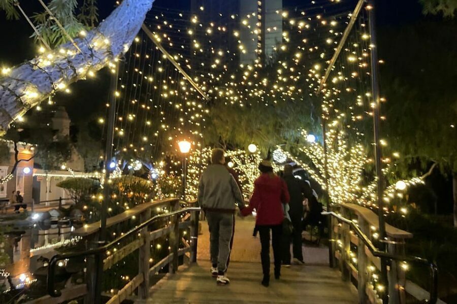 San Diego: Holiday Lights and Sights Trolley Tour - Who Should Consider This Tour?