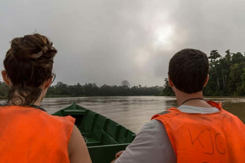 Sandakan: Sukau Rainforest Wildlife Journey & Dawn Cruises - Exploring the Itinerary and Experience