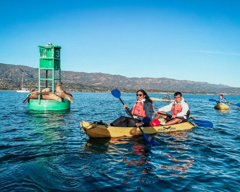 Santa Barbara Harbor: Wildlife Kayak Tour (2 Hours) - What’s Noteworthy About the Tour