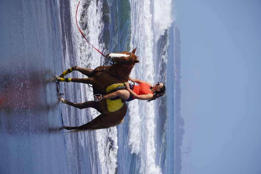 Sanur: Horse Riding at the Bali Beach 30 minute ride - The Practical Details: What You Need to Know