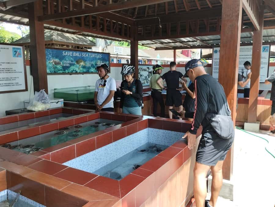 Sanur Village E-bike Tour: Family-Friendly Adventure - Who Should Consider This Tour?