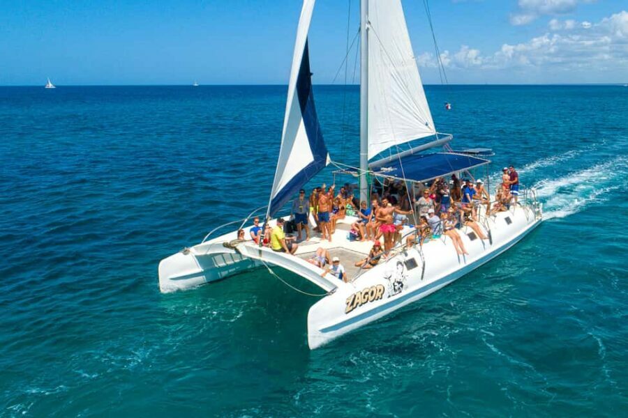 Saona Island: Full-Day Boat Tour All Inclusive - The Speedboat Journey and Natural Pool Stop