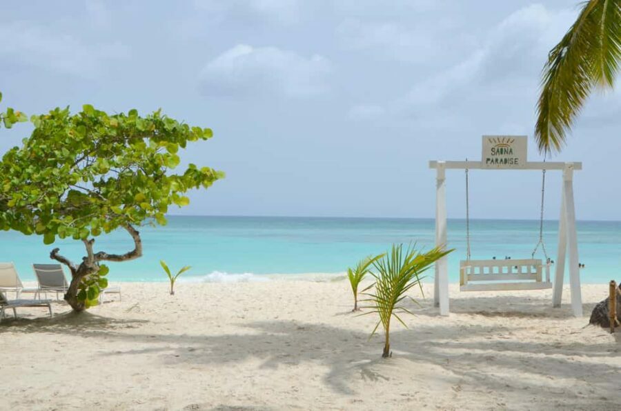 Saona Special Tour: 4 Beaches with Canto from Punta Cana - The Journey in Detail
