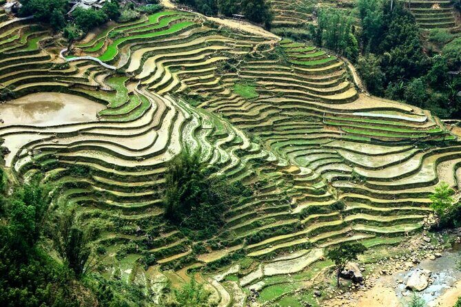 Sapa 1 Day Trekking - Who Will Love This Tour?