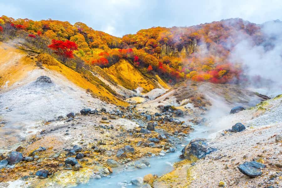 Sapporo: Noboribetsu Hell Valley, Lake Toya & Bear Farm Tour - Practical Details and Considerations