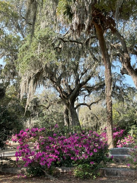 Savannah: Bonaventure Cemetery Golf Cart Guided Tour - What Makes This Tour Stand Out?