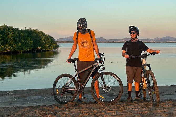 Scenic Bay Bike Ride Through Desert and Mangrove - What the Reviews Tell Us