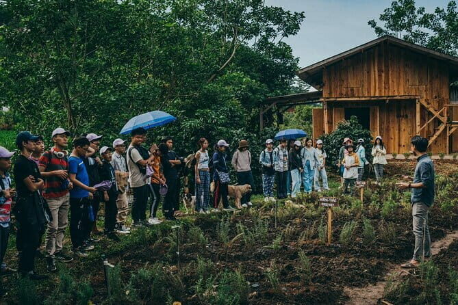 Scented Candle Workshop in Twin Beans Farm Da Lat - Exploring the Farm and Additional Options