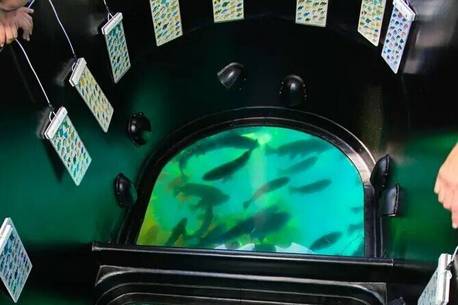 Sea View Glass Bottom Boat Excursion - Who Should Consider This Tour?