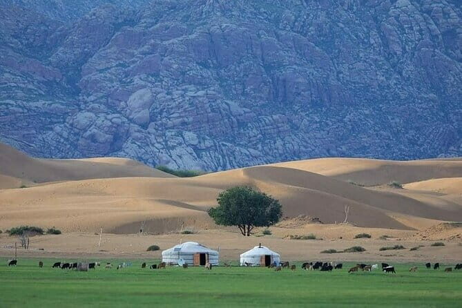 Semi-Gobi and Kharkhorum overnight private trip - What Travelers Say: Authenticity, Comfort, and Value