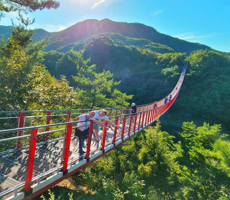 Seoul: DMZ, 3rd Tunnel and Optional Suspension Bridge Tour - The Value of the Tour