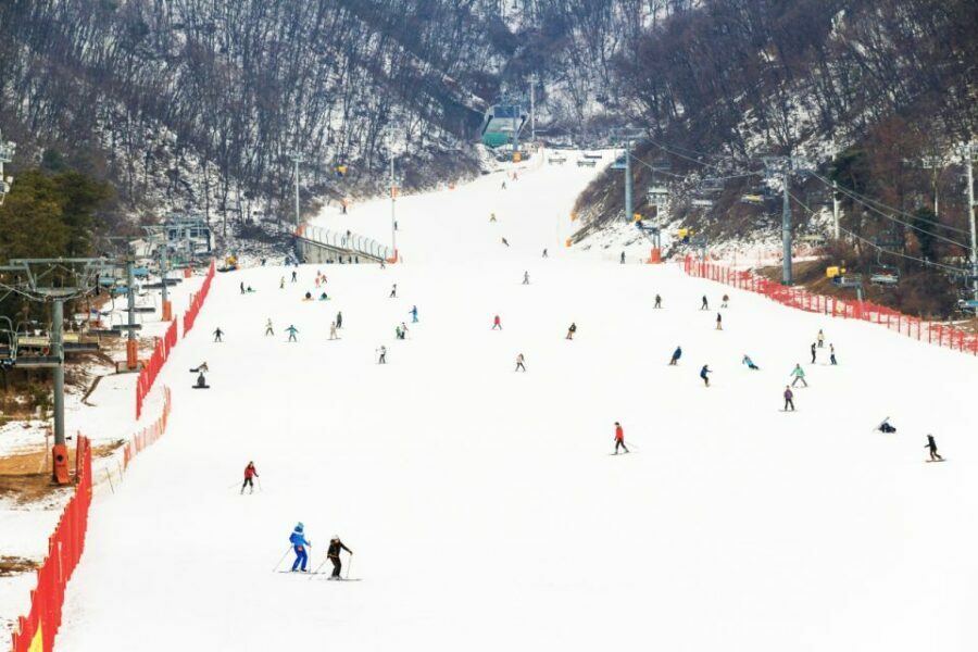 Seoul: Jisan Forest Winter Ski Day Tour with Basic Lesson - The Lesson: Building Confidence for Beginners