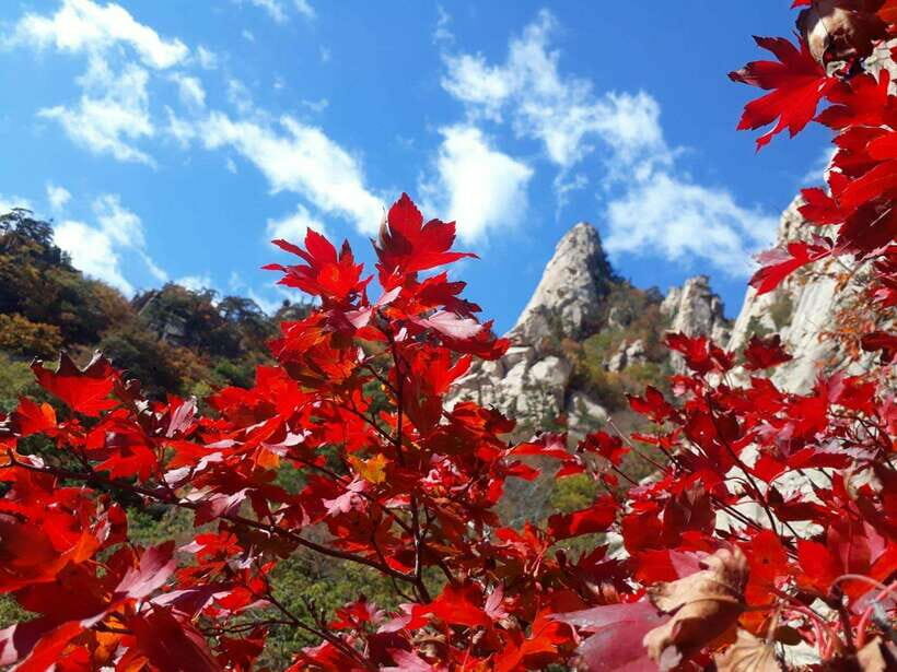 Seoul: Mt.Seorak, Nami Island, No Shopping(+RailBike Option) - Mt. Seorak: Korea’s Mountain Majesty