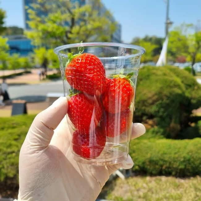 Seoul: Winter Day Tour in Pocheon with Strawberry Picking - The Practicalities: What’s Included and What to Keep in Mind