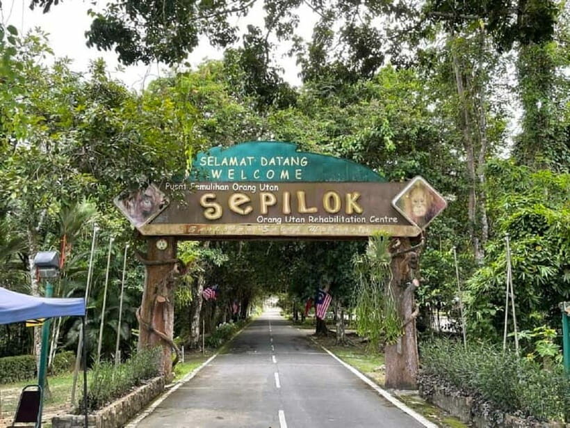 Sepilok OrangUtan, Sun Bear & Labuk Bay Full Day Trip - What You’ll Get From This Tour