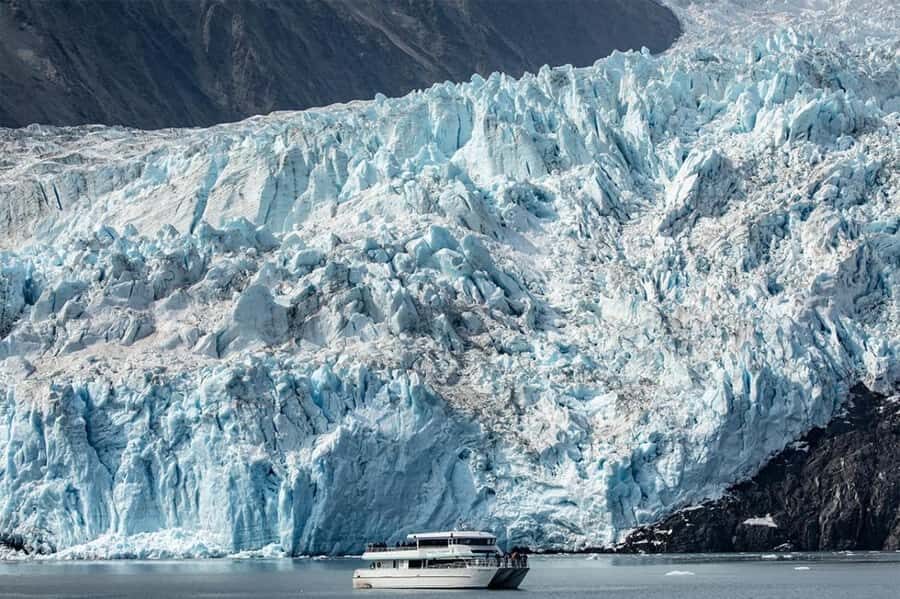 Seward: Kenai Fjords National Park Glacier Dinner Cruise - Why This Tour Offers Good Value