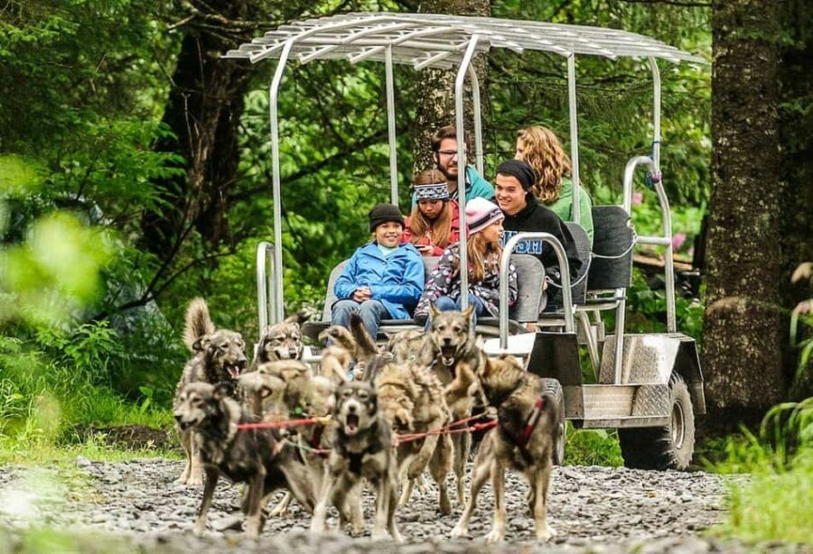 Seward: Turning Heads Kennel Tour & Dog Sled Ride - What’s Included and Why It Matters