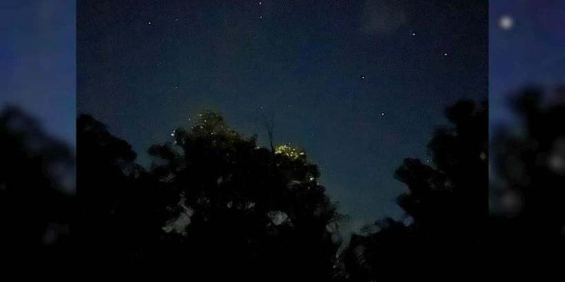 Shared Firefly Watching Cruise on Bohols Scenic Loboc River - Pricing and Value