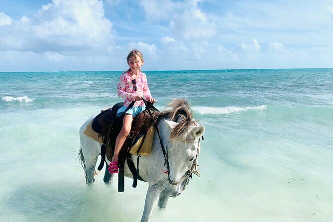 Shared Horseback Riding in Turks and Caicos - Group Size and Safety Measures
