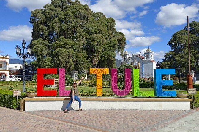 Shared Santa Maria Del Tule Bike Tour - An In-Depth Look at the Tour Experience