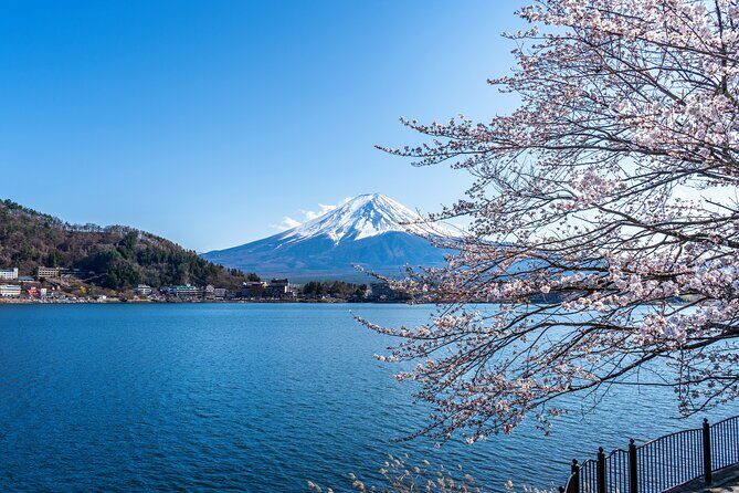 Shore Excursion Private Mt Fuji and Hakone Tour from Shimizu Port - Cruising Lake Ashinoko