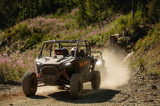Side-by-Side Off-Roading Adventures on Cougar Mountain - Who Would Love This Tour?