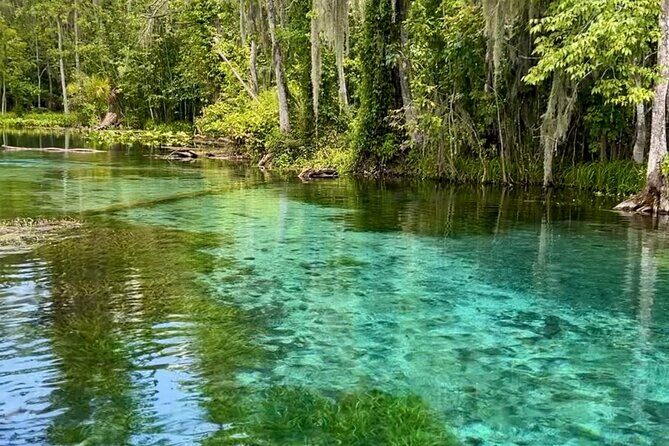 Silver Springs: Clear Kayaking Wildlife Tour - Authentic Reviews: What Travelers Say