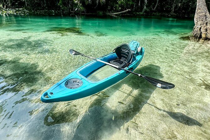 Silver Springs - Glass Bottom Kayak Rental - The Environment and Wildlife