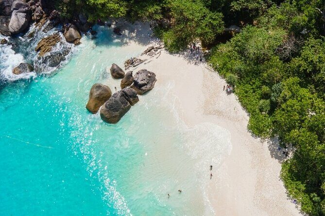 Similan Islands Day Tour from Phuket and Khaolak - What Do Travelers Say?