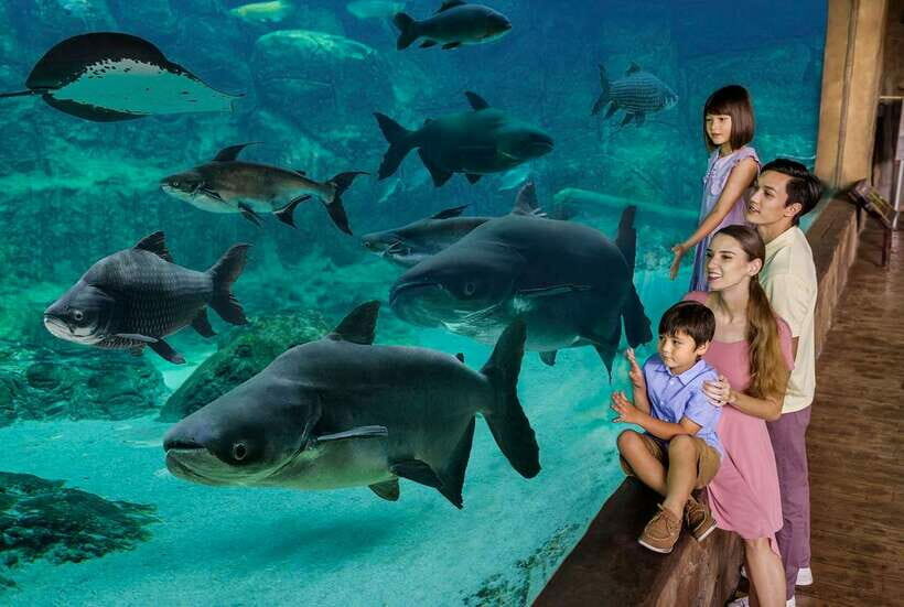 Singapore: River Wonders Entry Ticket - What to Expect at Each Stop