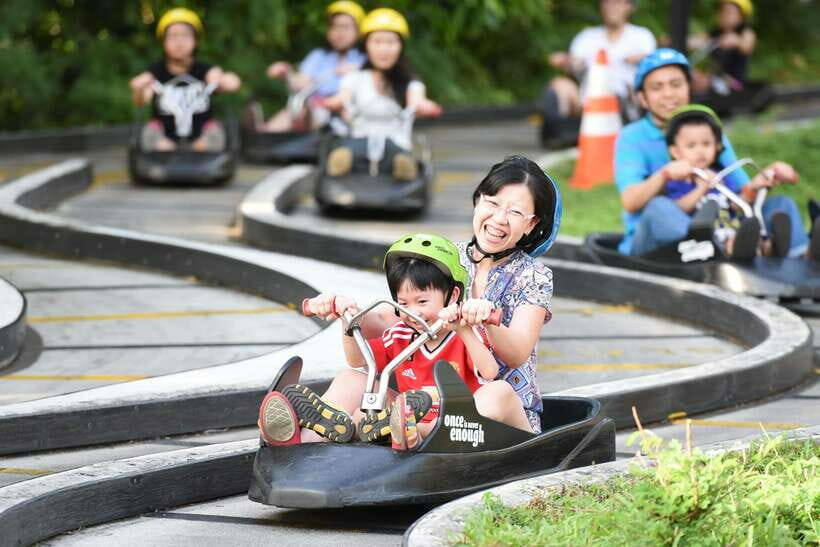 Singapore: Skyline Luge Sentosa Entry Ticket - The Tracks: Four Unique Adventures