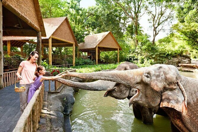 Singapore Zoo - Authentic Feedback from Travelers