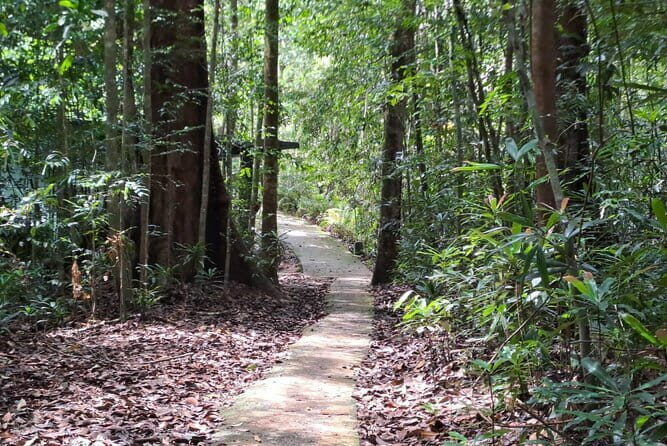 Sinharaja Rainforest Trip - Authenticity and Value