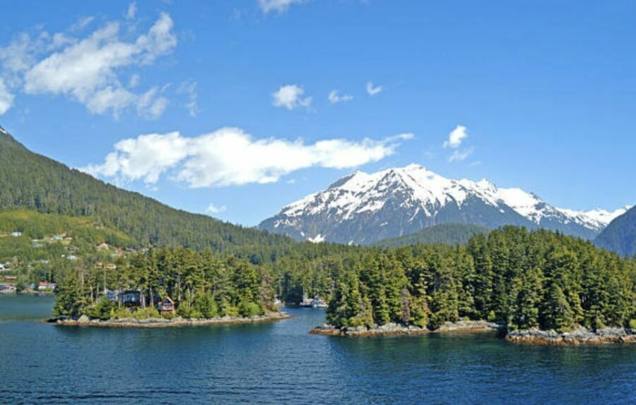 Sitka: Totem Poles, Raptor Centre, & Fortress of Bears Tour - Evaluating the Value