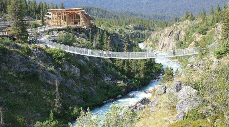 Skagway: Yukon Suspension Bridge & Summit Tour - Who Should Consider This Tour?