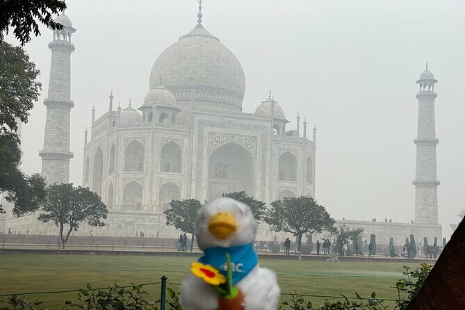 Skip-the-Line Taj Mahal Tour-Hassle-Free Entry & Guide Experience - Why This Tour Offers Great Value