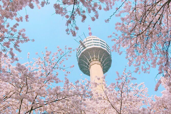 Sky Capsule with Cherry Blossom & Spring Flowers Tour from Busan - Who Will Love This Tour?