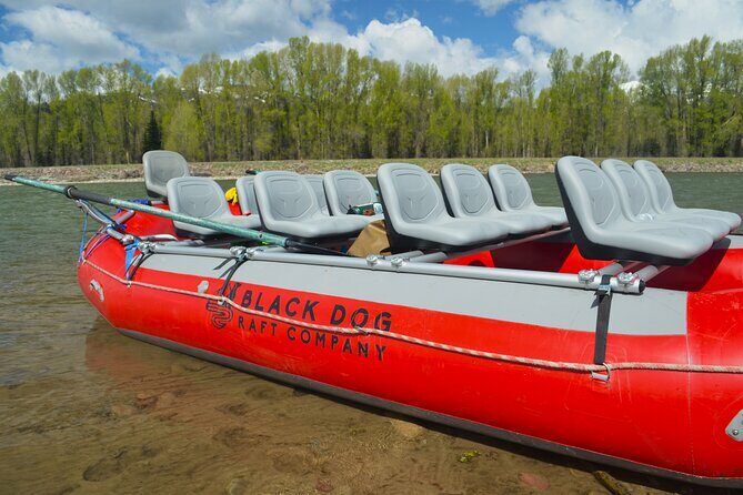 Snake River Scenic Float with Chairs - Who Should Consider This Tour?