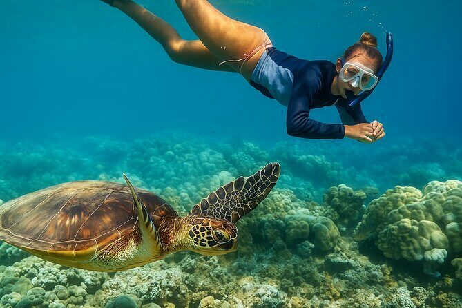 Snorkel and Sunset Cruise from Margaritaville Resort - Final thoughts