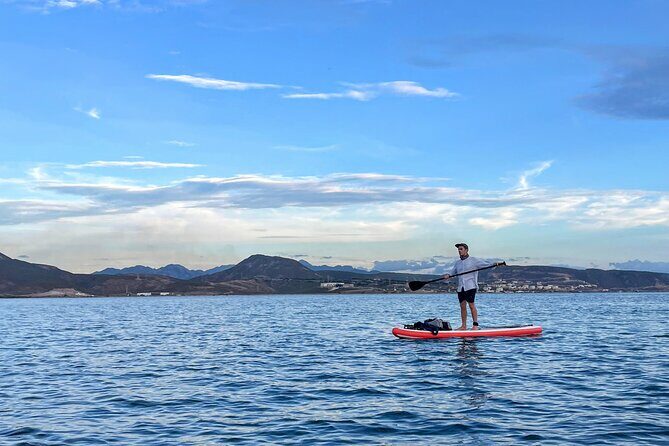 Snorkeling and Paddle Boarding Adventure in La Paz - Authentic Experiences and Reviews