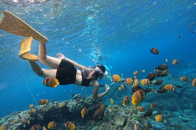 Snorkeling Day Trip To Lembongan and Penida - What Travelers Are Saying: Authentic Voices