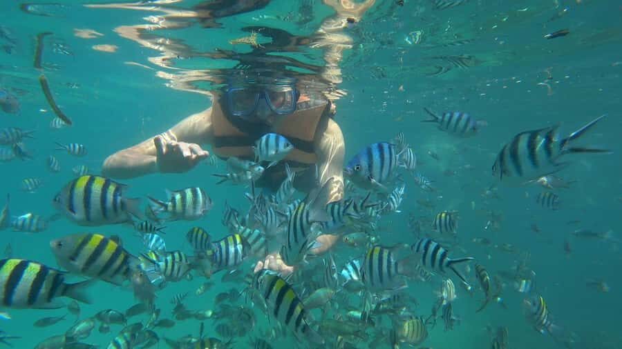Snorkeling Kayaking Fishing Swimming Activities - Final Thoughts: Who Will Enjoy This Experience?