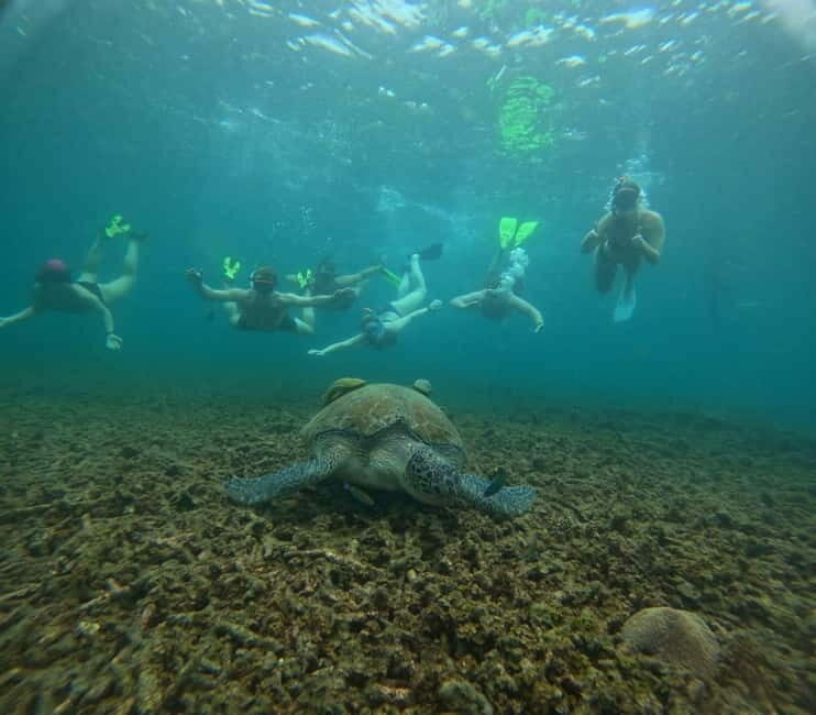 Snorkeling Tour with meals and BBQs - Cocktail - Sunset - Snorkeling: Discovering Koh Tao’s Marine Riches