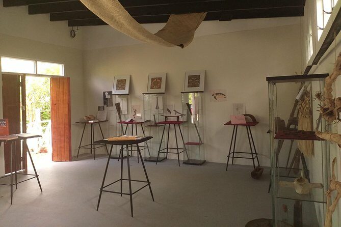Solo Traveller Tonga 3.5 Hour Island Tour - What Makes This Tour Stand Out?