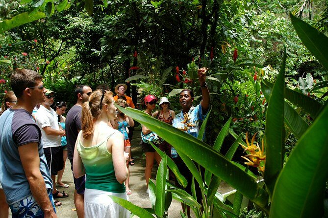 Soufriere Island Delight - The Itinerary in Detail